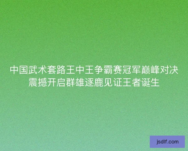 中国武术套路王中王争霸赛冠军巅峰对决震撼开启群雄逐鹿见证王者诞生